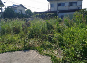 北九州市で除草作業を行いました！